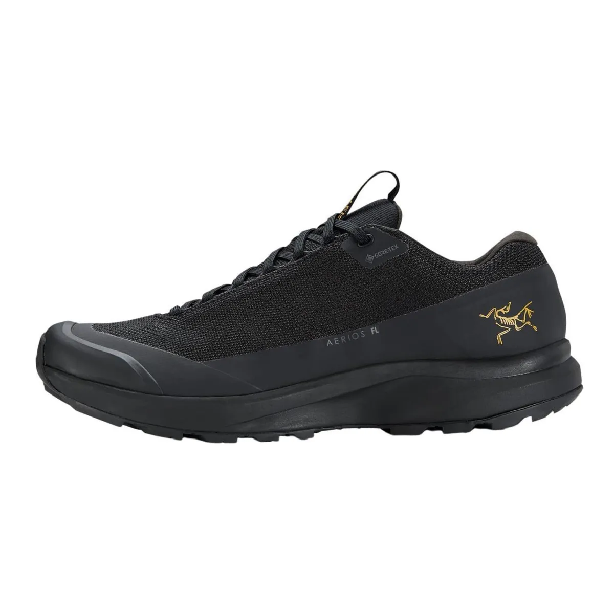 Arc'teryx Aerios Gore Te Cushioning, Wear Resistant Low top Outdoor Shoes Men's Black