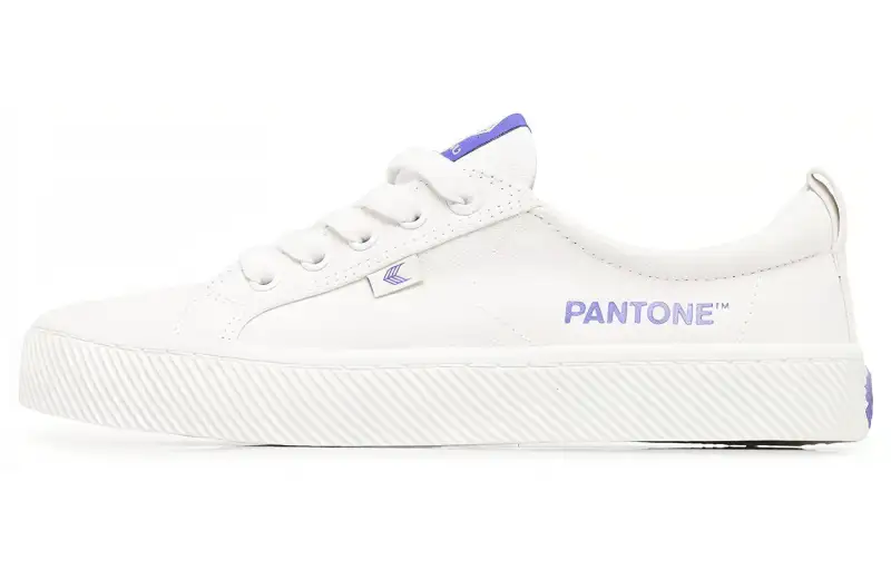 CARIUMA Canvas Lace Up Stylish Skateboarding Shoes Women's White
