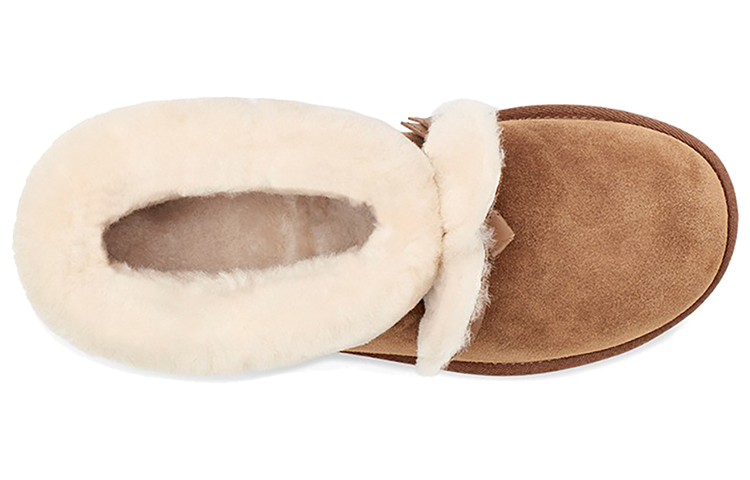 Женские сапоги UGG CLASSIC MINI (коричневые) — 栗子棕 — фото 5