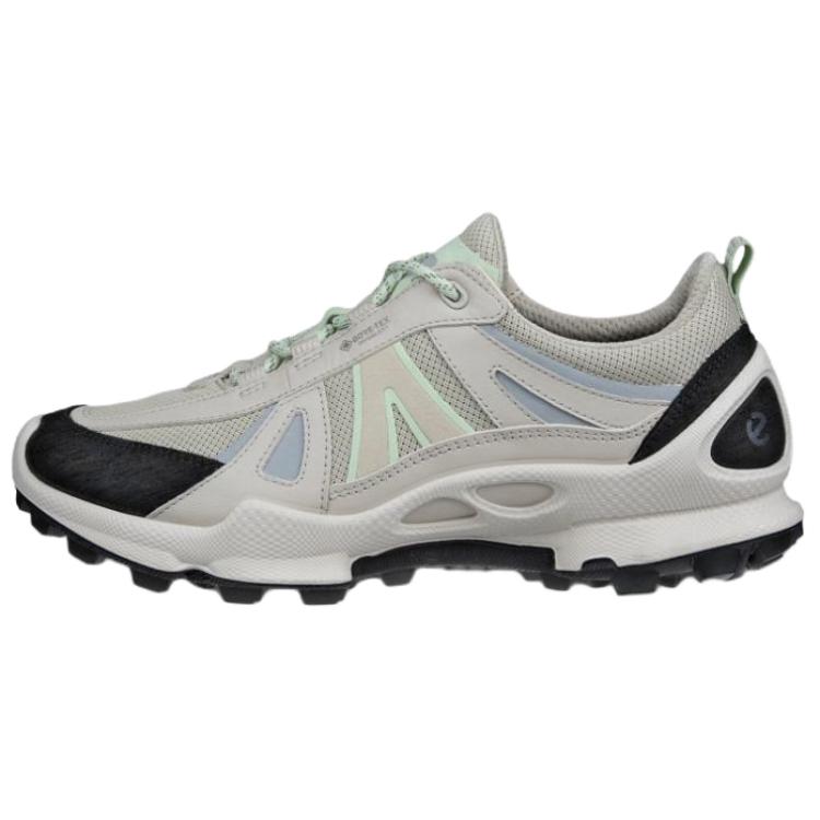 Ecco Biom C Trail Abrasion Resistant Low top Hiking Shoes Women’s