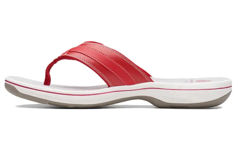 Clarks Flip Flops Women's