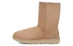 UGG Classic Short Ii Boot Beachwood Women's