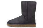 UGG Classic Short Ii Boot Snow Boots Purple/Grey Women's