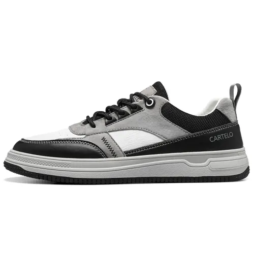 CARTELO Wear resistant, Lightweight, Breathable, And Non slip. Low top Skateboard Shoes Men's