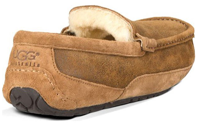 UGG Ascot Bomber 'Khaki Brown'