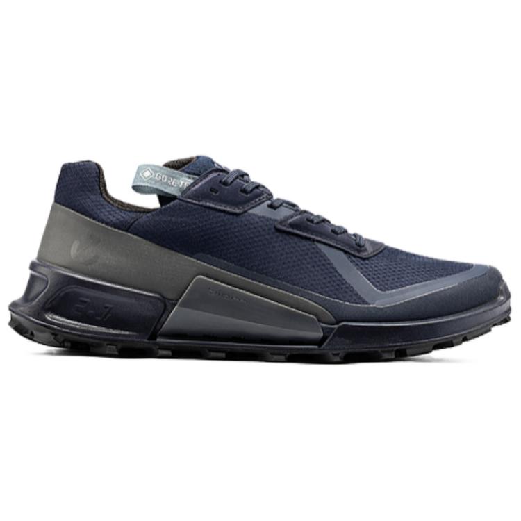 Ecco BIOM 2.1 X COUNTRY Cushioning Slip Resistant Low top Trail Running Shoes Men’s Blue