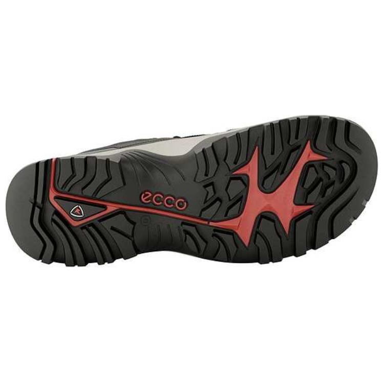 Ecco Off road Series Cow Leather Low top Mountaineering & Hiking Shoes Men’s Black Gray