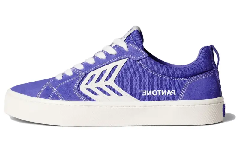 CARIUMA Pantone Low top Canvas Shoes Unisex Blue Purple