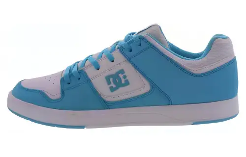 DC Shoes Slip Resistant Abrasion Resistant Low top Skateboard Shoes Men's Blue White