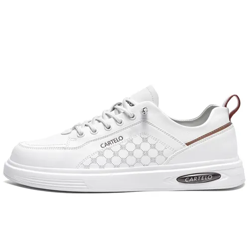 CARTELO Wear resistant, Lightweight, Breathable, And Non slip. Low top Skateboard Shoes Men's