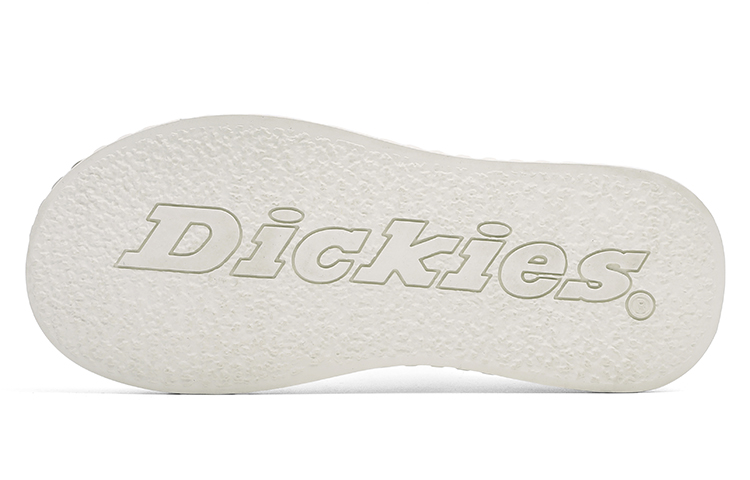 Dickies Low top Canvas Shoes Women's Beige