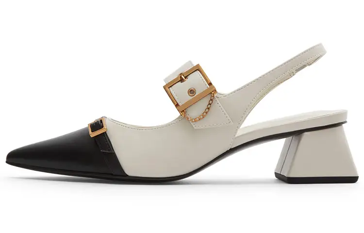 CHARLES&KEITH Chunky Heel Mary Jane Shoes 4.2cm Women's Pink White