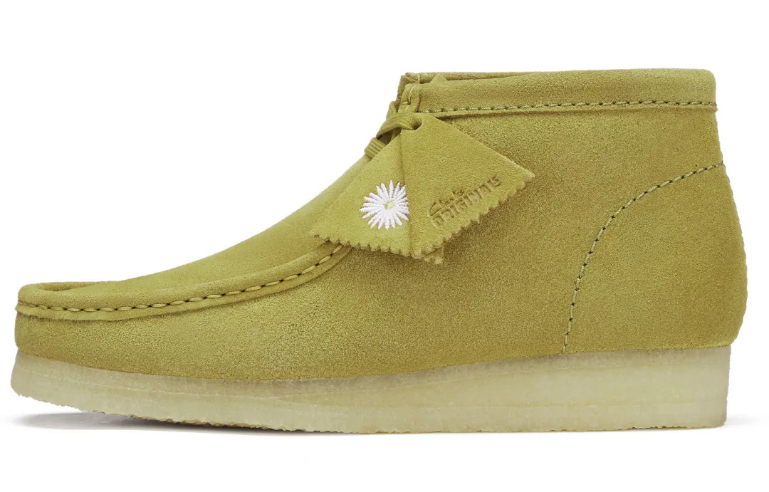 Clarks Ankle Boots Men's
