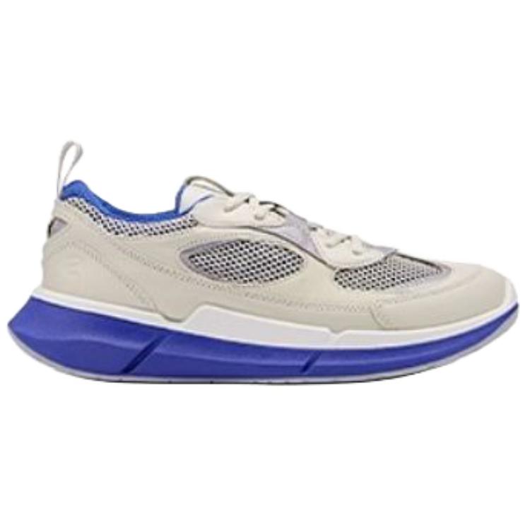 Ecco Biom 2.2 Cow Leather Abrasion Resistant Low top Running Shoes Men’s Gray Blue