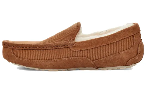 UGG Ascot Comfortable Low top Casual Shoes Men's
