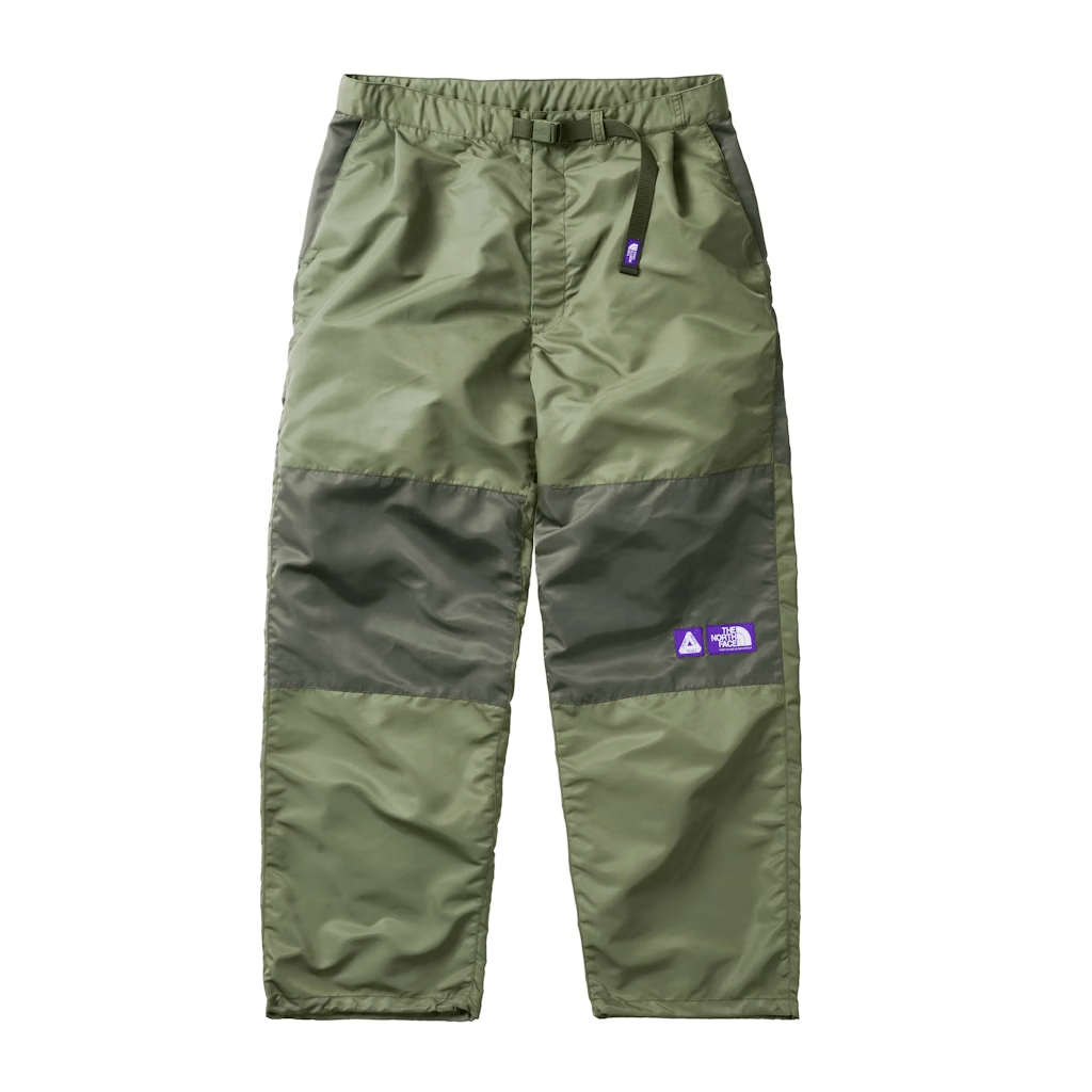 Брюки Palace × THE NORTH FACE PURPLE LABEL (разноцветные)