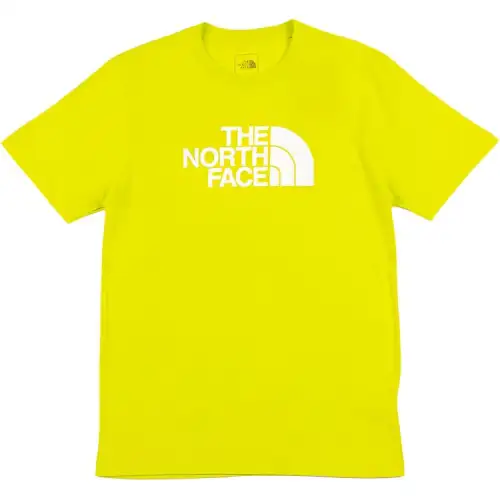 THE NORTH FACE Evolution Half Dome T shirt