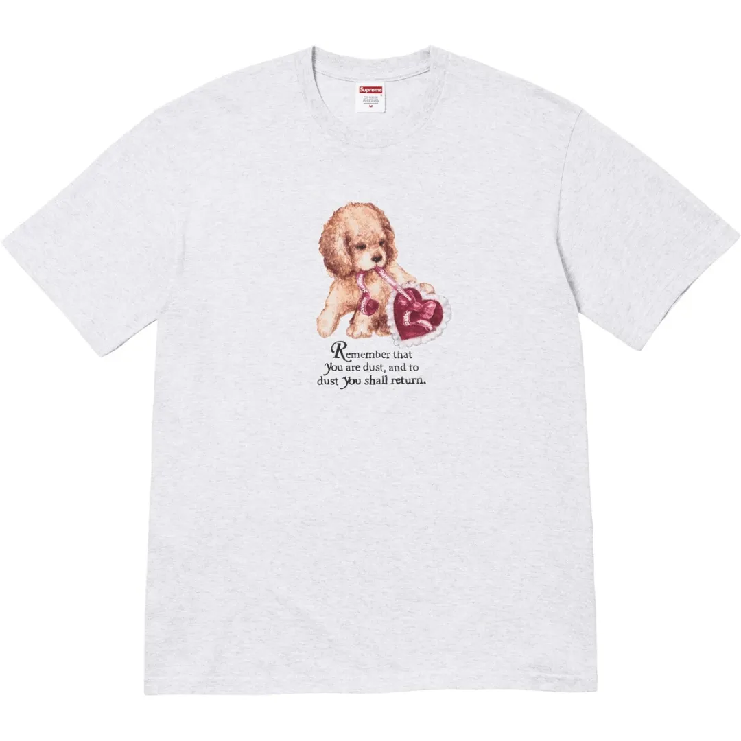Supreme Dust T-shirt