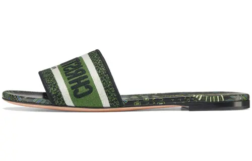 DIOR Dway Slide Slippers Women's Black Green