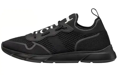 DIOR B21 Neo Black