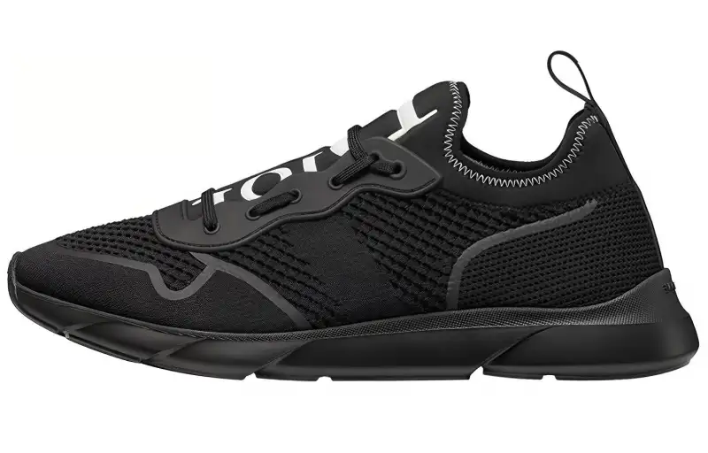 DIOR B21 Neo Black