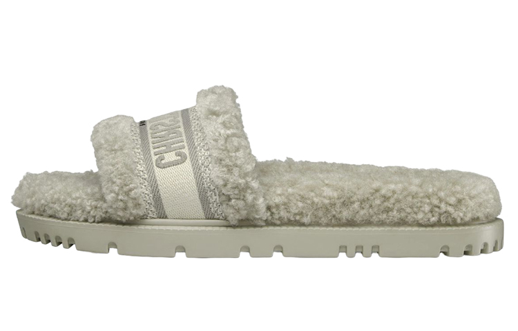 DIOR Dway Slide Slippers Women's Gray Green