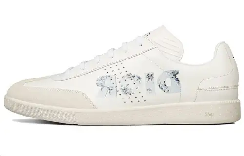 DIOR B01 Daniel Arsham Logo