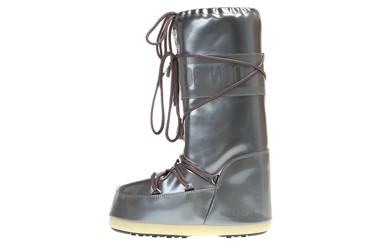 Сапоги Moon Boot (серебряные)