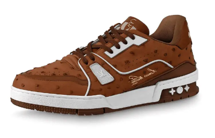 LOUIS VUITTON Trainer Stylish Skateboarding Shoes Unisex Chocolate Brown