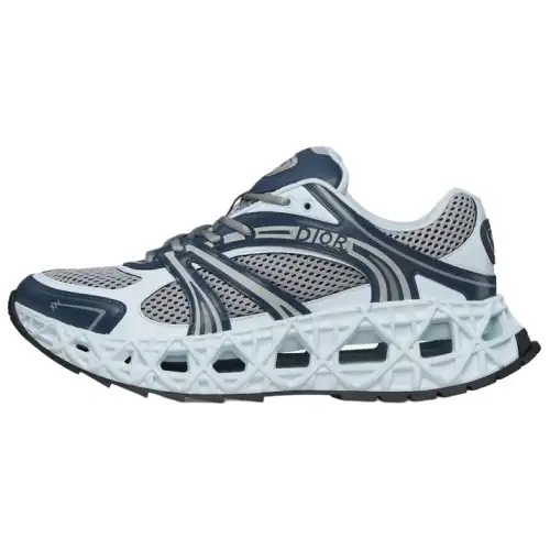 DIOR B35 NXXT Low top Casual Shoes Men's Blue Gray