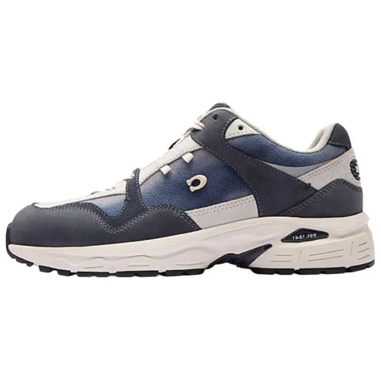 COACH C301 Leather Low top Casual Shoes Women's Blue