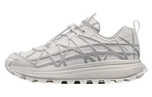 DIOR B31 Runner White Grey