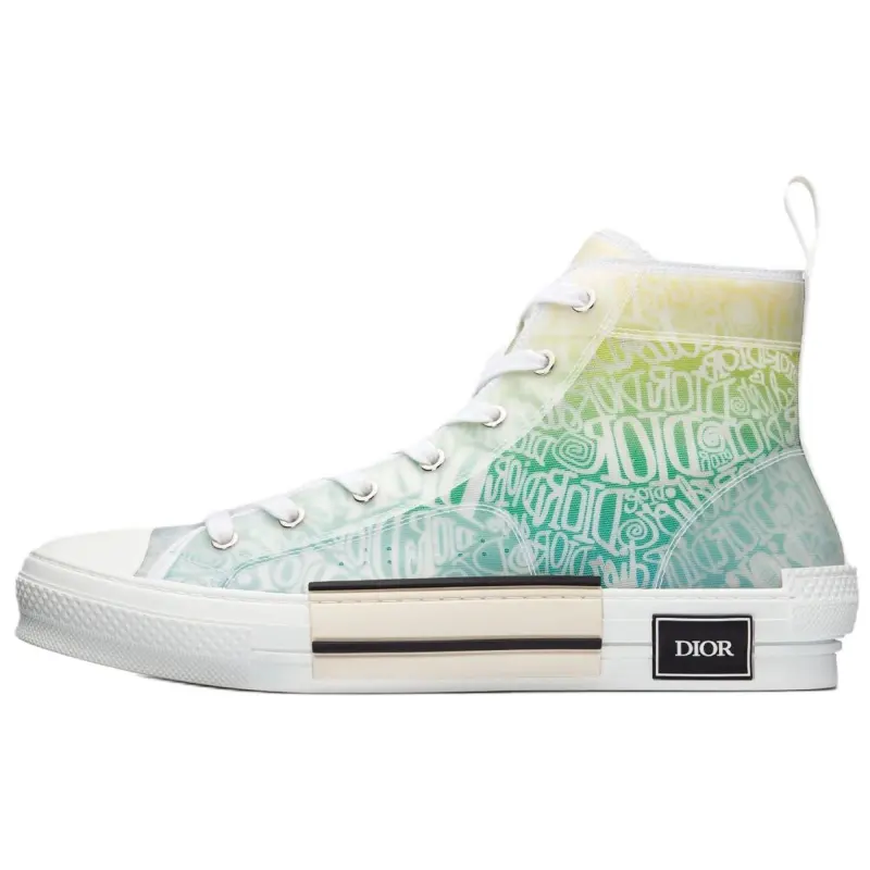 DIOR And Shawn B23 High Top