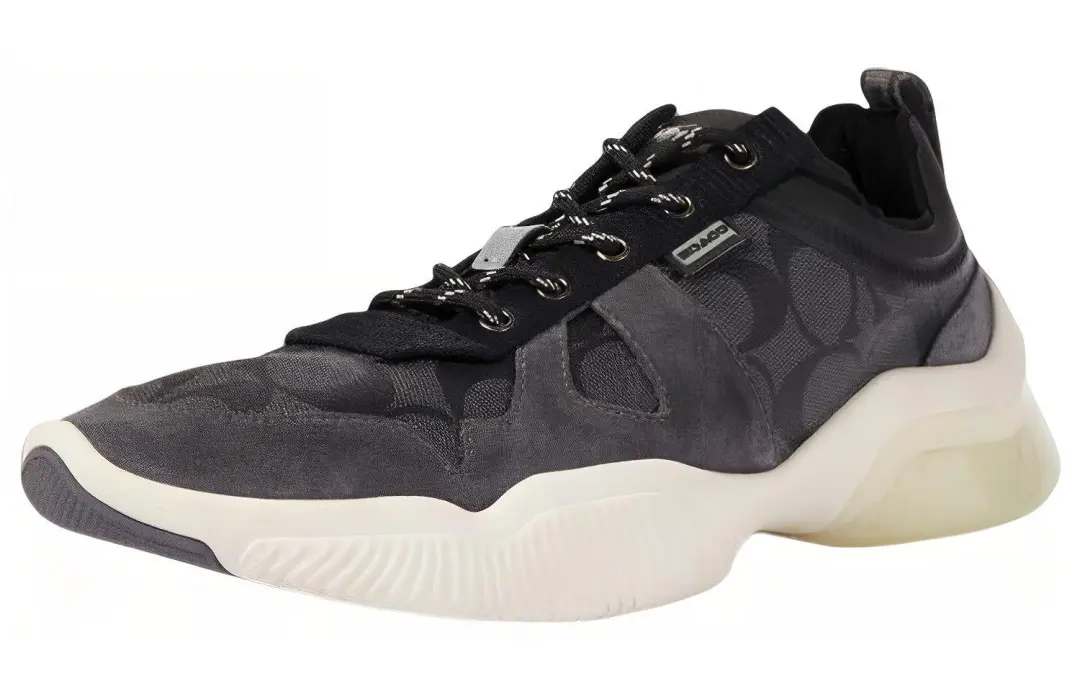 COACH Cushioning Abrasion Resistant Breathable Low top Casual Shoes Men's Gray