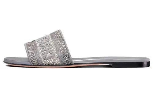 DIOR Dway Slide Slippers Women's Gray