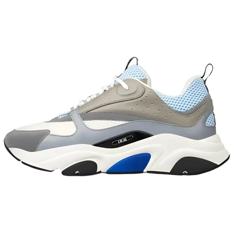 DIOR B22 White Blue