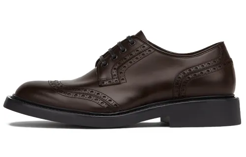 Bottega Veneta Men's Casual Shoes Men's Low Top Dark Brown
