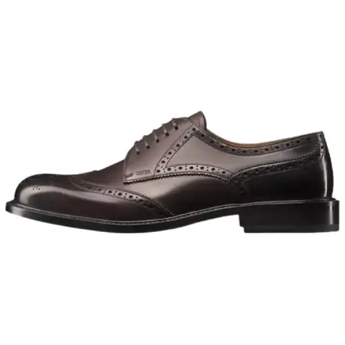 DIOR Embassy Cow Leather Dress Shoes Men's Brown