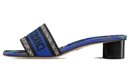 DIOR Dway Slide Slippers Women's Blue