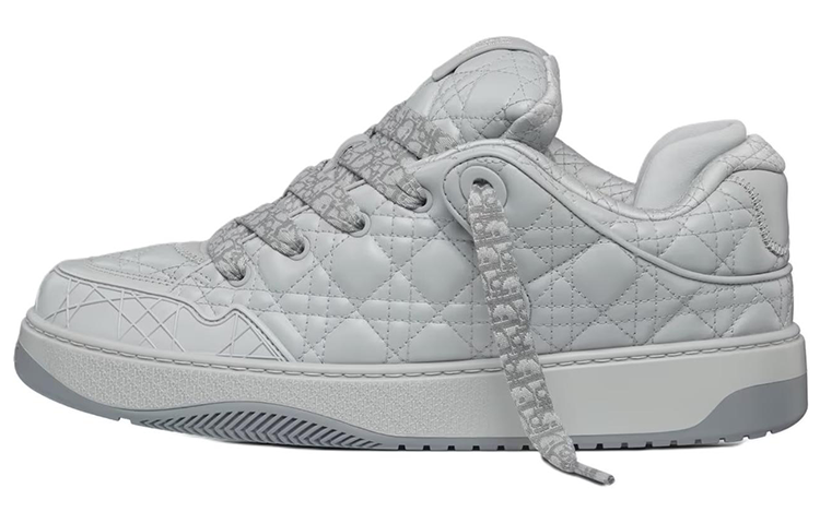 DIOR B9S Skater DIOR Gray Numbered