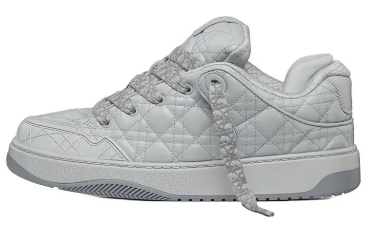 DIOR B9S Skater DIOR Gray Numbered