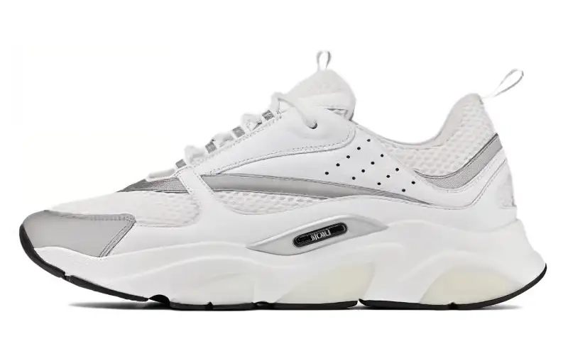 DIOR B22 White Silver
