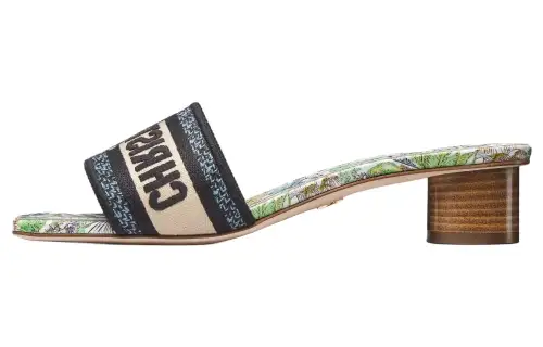 DIOR Dway Slide Slippers Women's Black Green