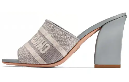 DIOR Dway Slide Slippers Women's Gray