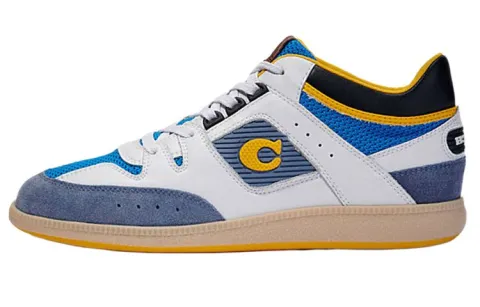 COACH Low top Stylish Skateboarding Shoes Men's White Blue