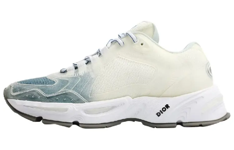 DIOR CD1 Gradient Blue