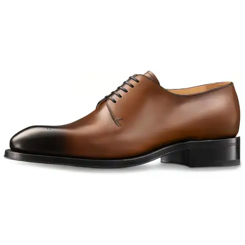 LOUIS VUITTON Varenne Casual Shoes Men's Brown Black