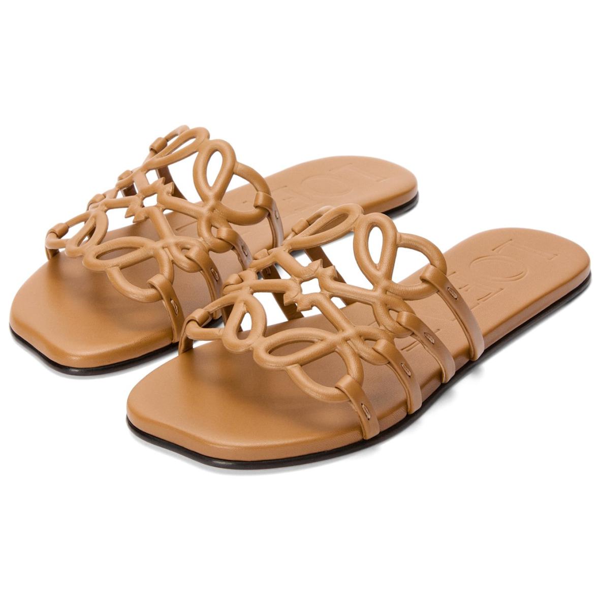 LOEWE Petal Rubber Slide Slippers Women's Brown