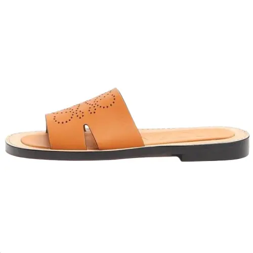 LOEWE Slide Slippers Men's Brown
