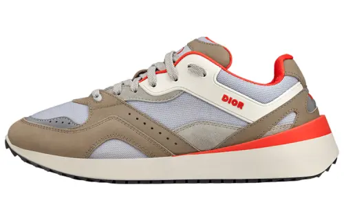 DIOR B29 Grey Brown Orange